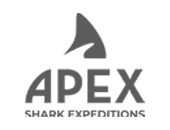 Apex Shark Expeditions